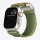 Olive Titanium